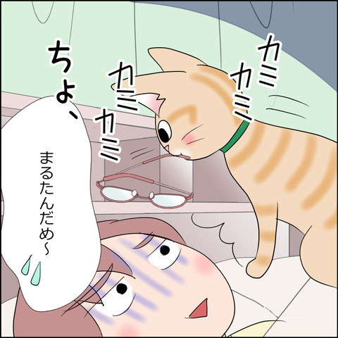 あんこ＆麦STORY2253b