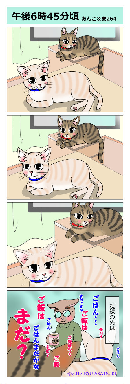 あんこ&麦STORY264