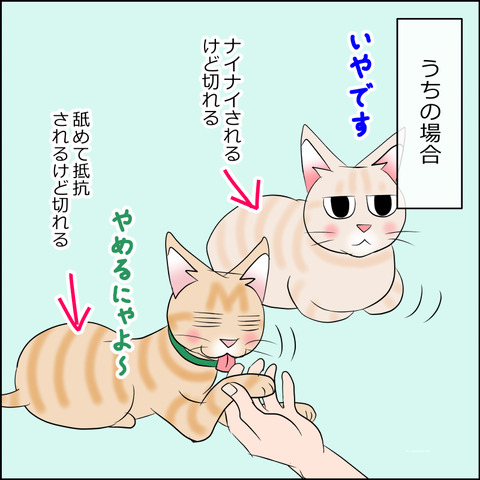 あんこ＆麦STORY2143b