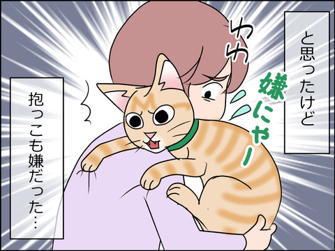 あんこ&麦kenko34d