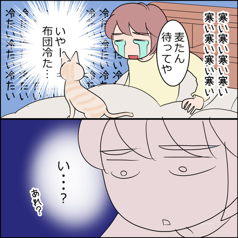 あんこ&麦STORY2395c