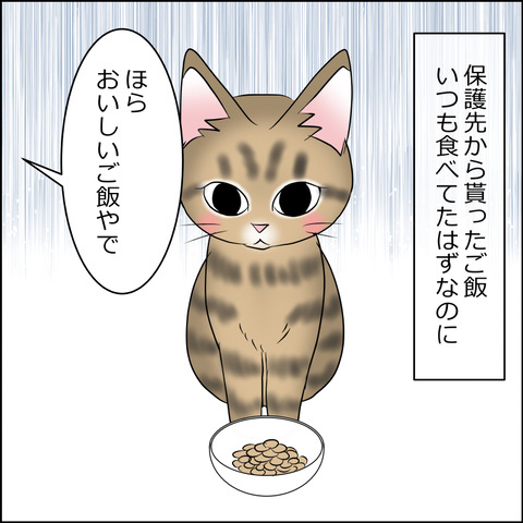 nekokita015b