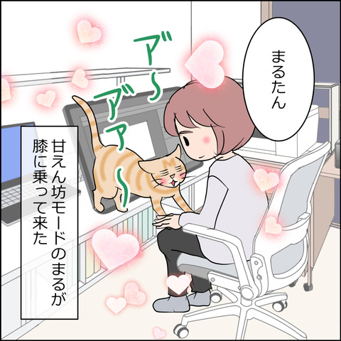 あんこ＆麦STORY2428a