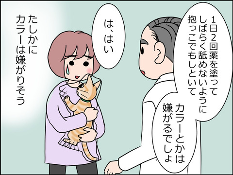 あんこ&麦kenko34c