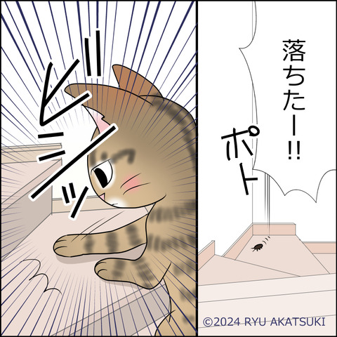 あんこ&麦STORY2098d