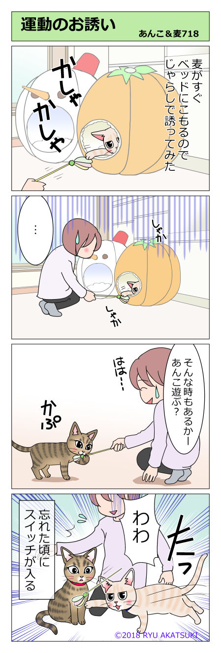 あんこ&麦STORY718