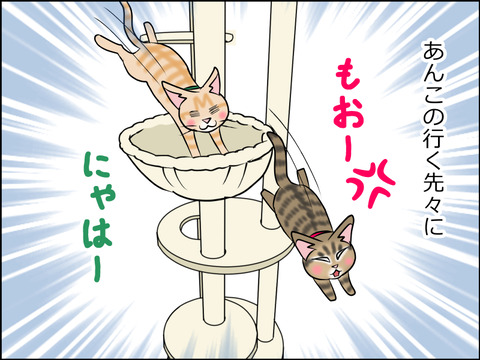 あんこ&麦STORY1530b