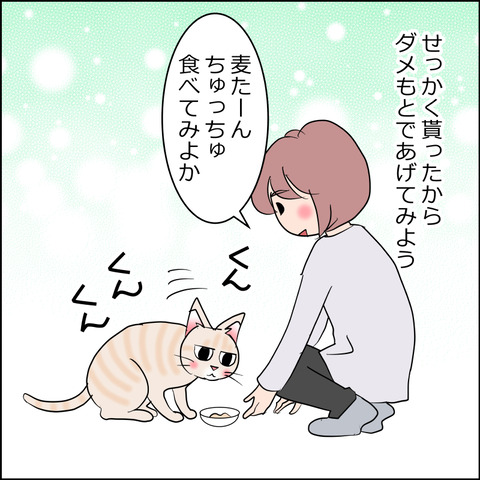 あんこ＆麦kenko148c