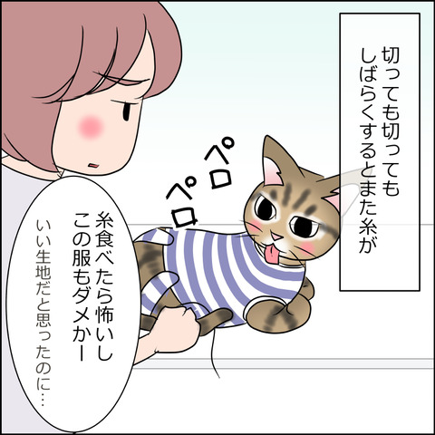 あんこ&麦STORY1679c