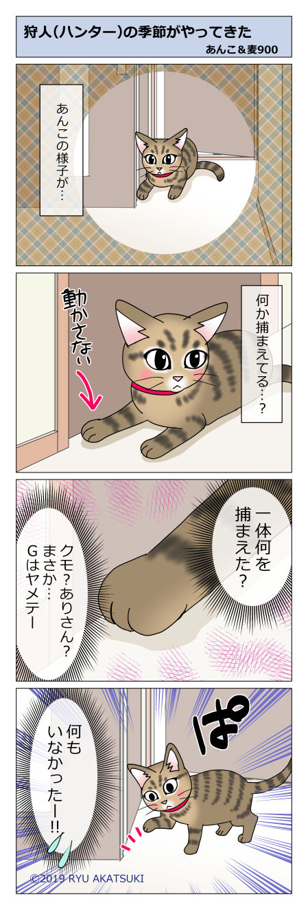あんこ&麦STORY900