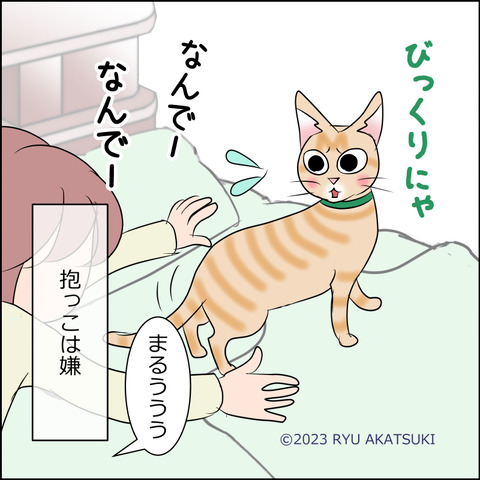 あんこ＆麦STORY1995d
