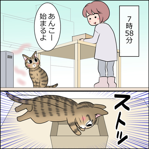 あんこ＆麦STORY1802a