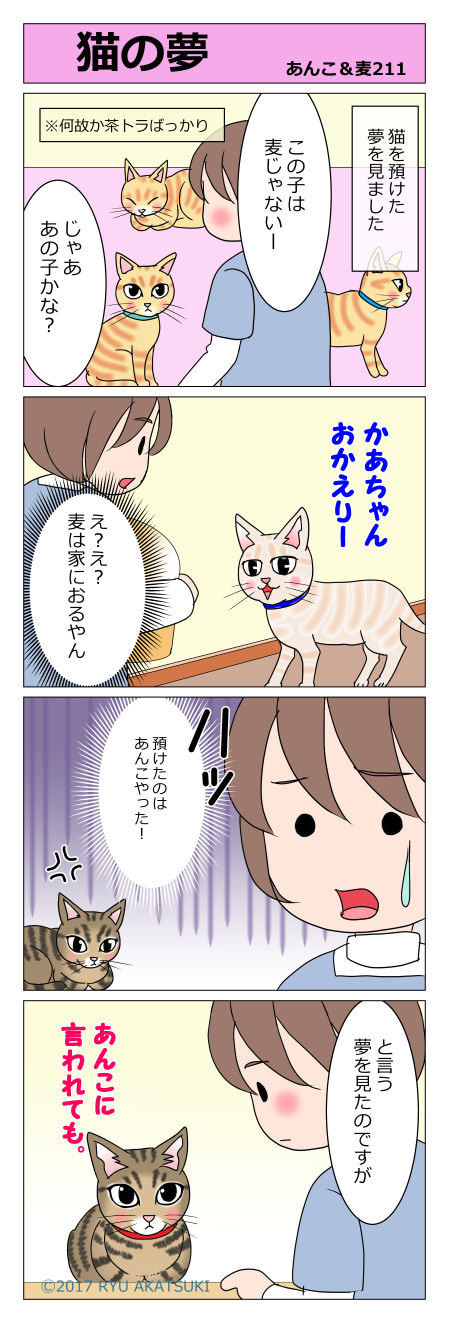あんこ&麦STORY211