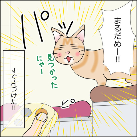 あんこ&麦STORY2406d