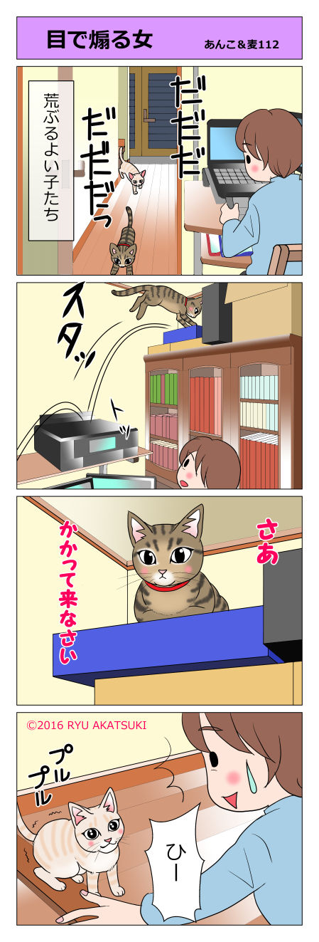 あんこ&麦STORY112