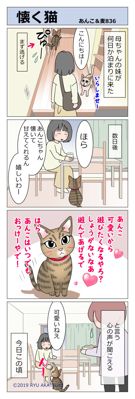 あんこ&麦STORY836
