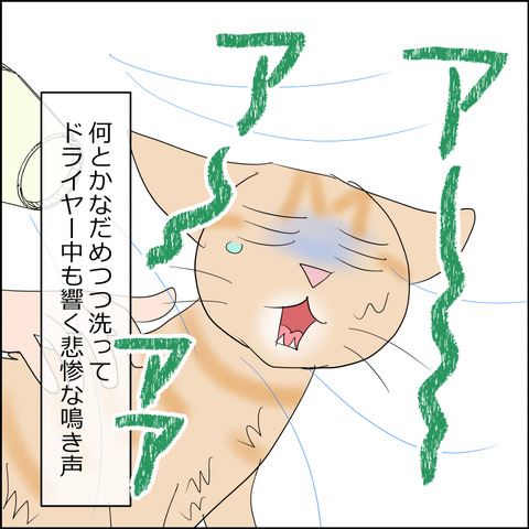 あんこ&麦STORY2323b