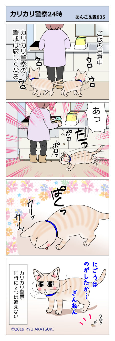 あんこ&麦STORY835