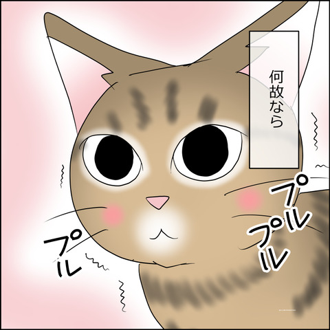 あんこ＆麦STORY2424c