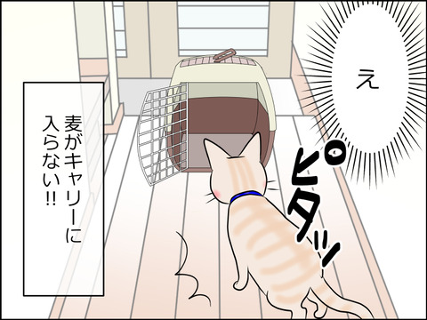 あんこ&麦STORY1560d