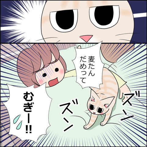 あんこ＆麦STORY1991c