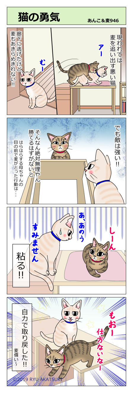 あんこ&麦STORY946