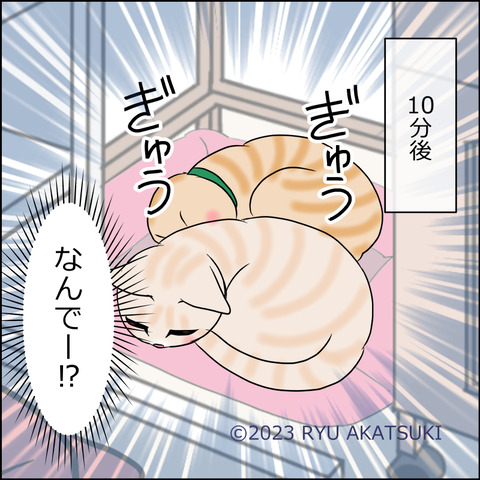あんこ＆麦STORY1819d