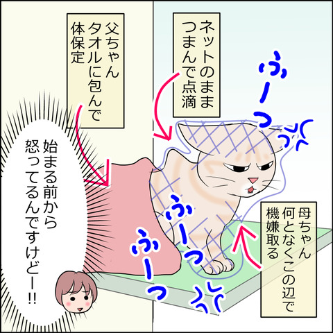 あんこ＆麦kenko120c