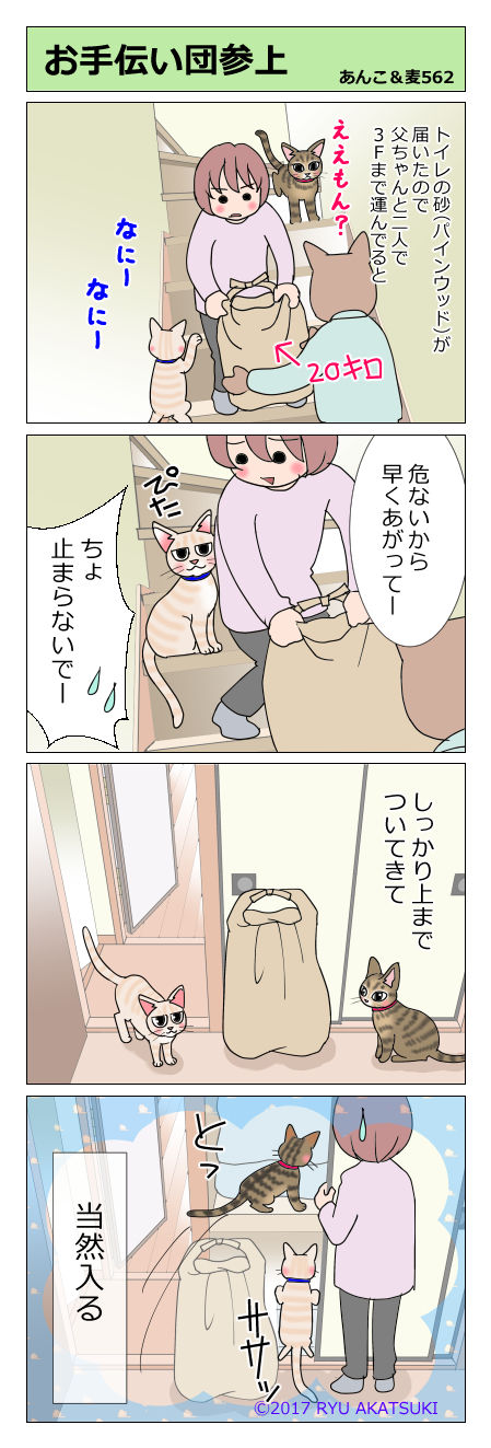 あんこ&麦STORY562