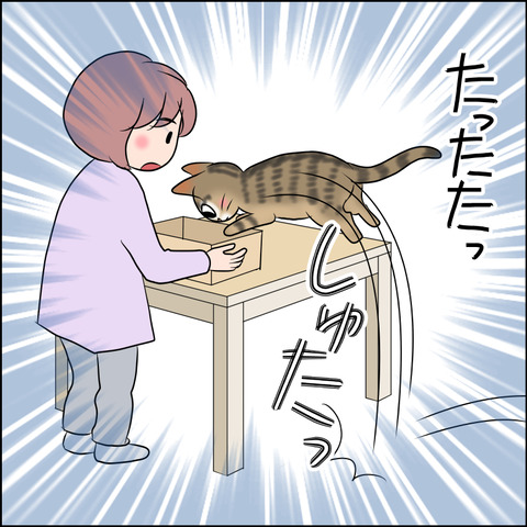 あんこ＆麦STORY1749b