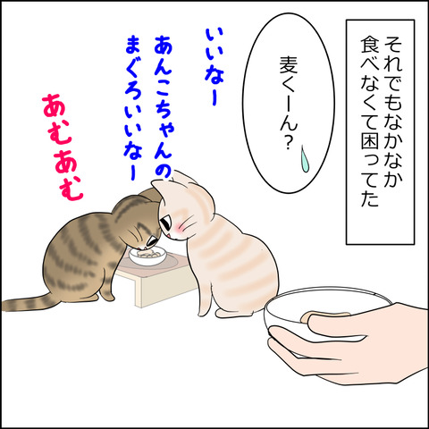 あんこ＆麦kenko111c