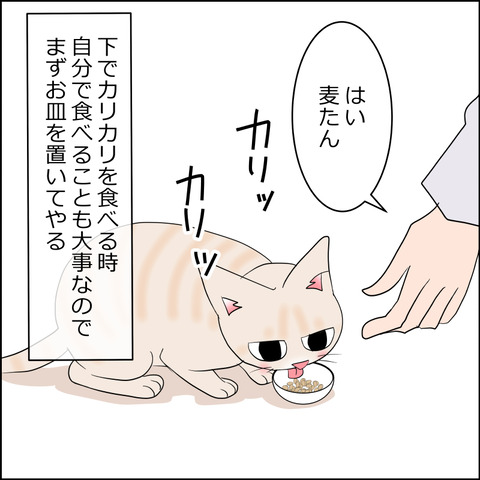 あんこ＆麦STORY2277a