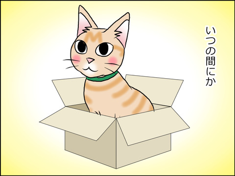 あんこ＆麦STORY1559b