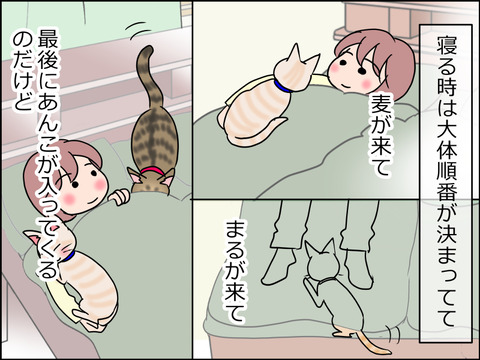 あんこ&麦STORY1504a