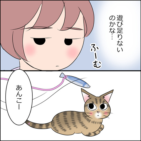 あんこ&麦STORY2070c