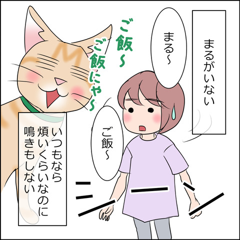 あんこ&麦STORY1970b
