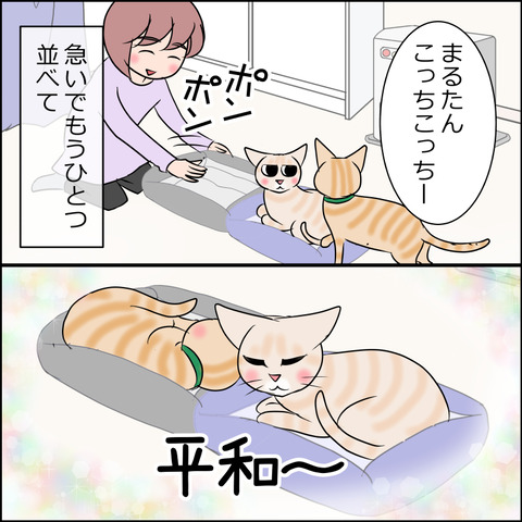 あんこ＆麦STORY2046b