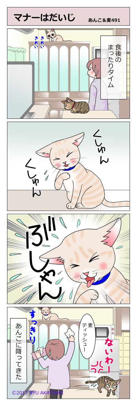 あんこ&麦STORY491