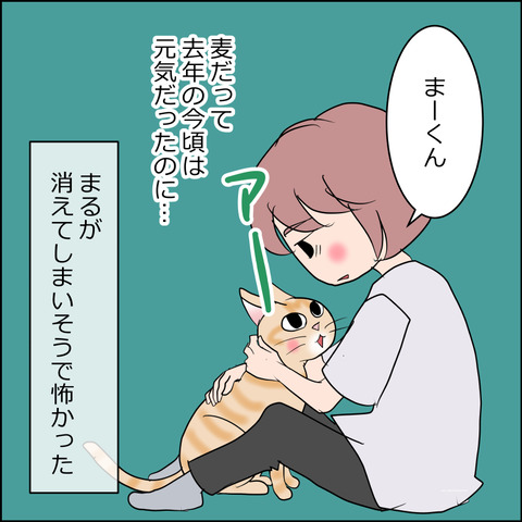 あんこ＆麦kenko155a