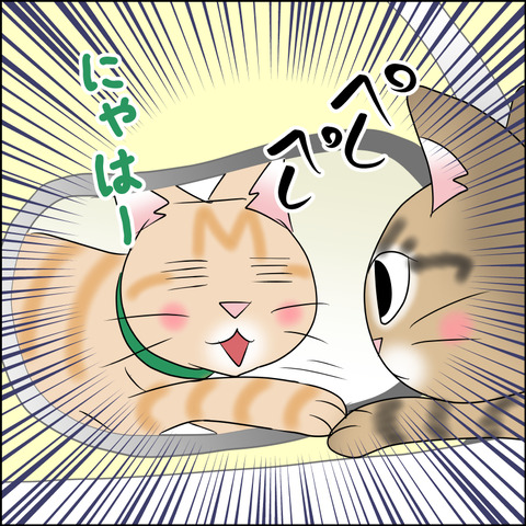 あんこ&麦STORY2007c