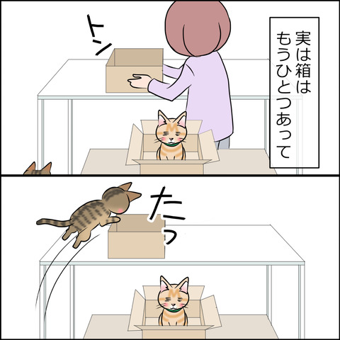 あんこ＆麦STORY1861b