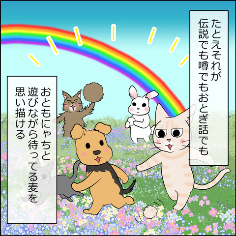 あんこ＆麦STORY2459b