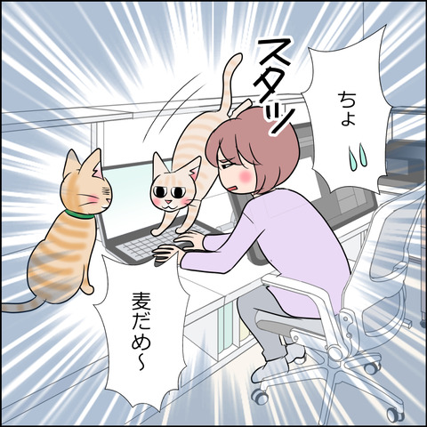 あんこ&麦STORY1840b
