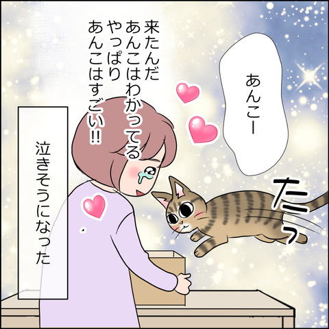 あんこ＆麦STORY1833d