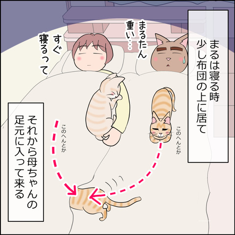 あんこ&麦STORY2221a