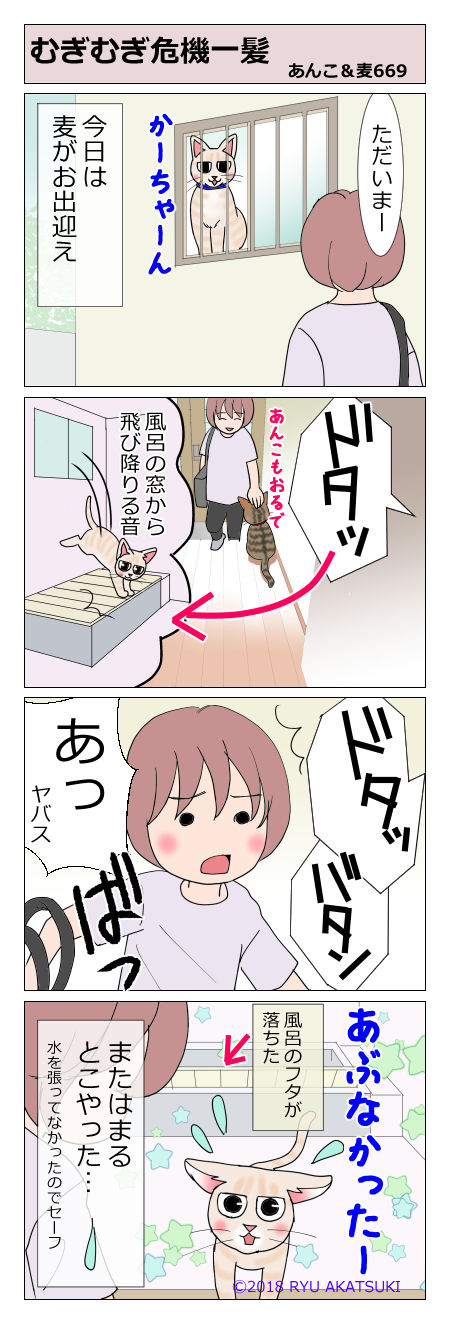 あんこ&麦STORY669