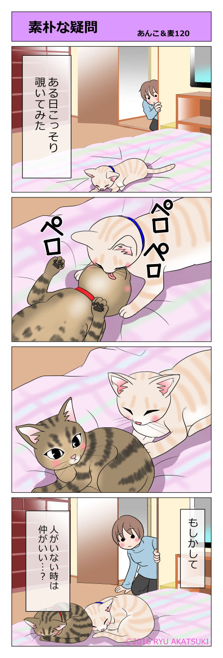 あんこ&麦STORY120