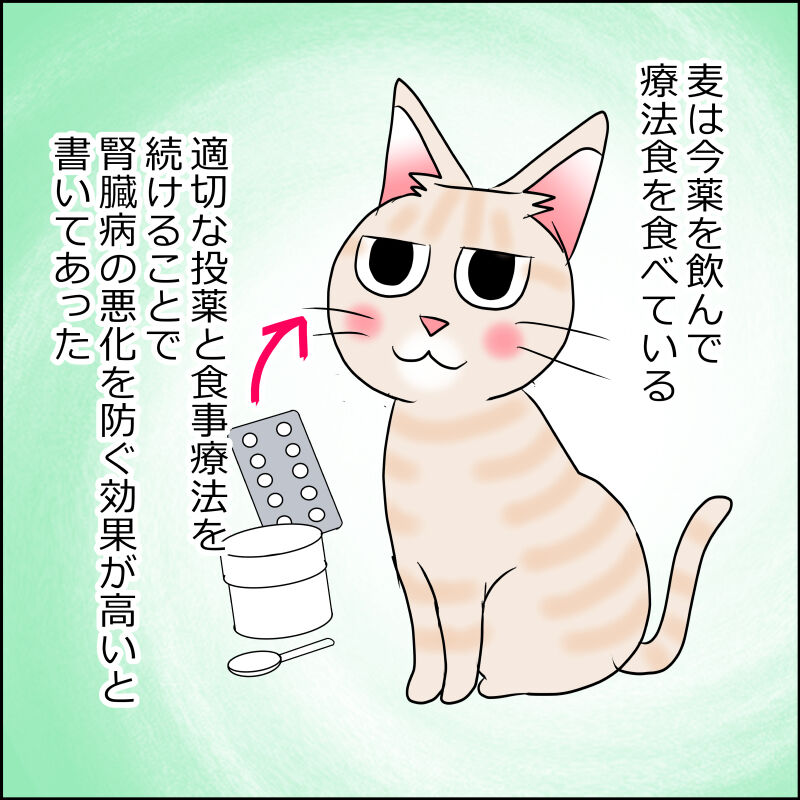 猫の腎臓病 でぐぐってはいけない 麦と腎臓病７ あんこと麦と Powered By ライブドアブログ