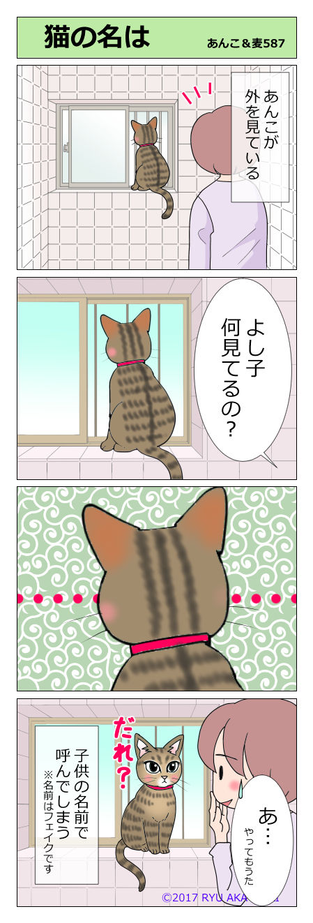 あんこ&麦STORY587