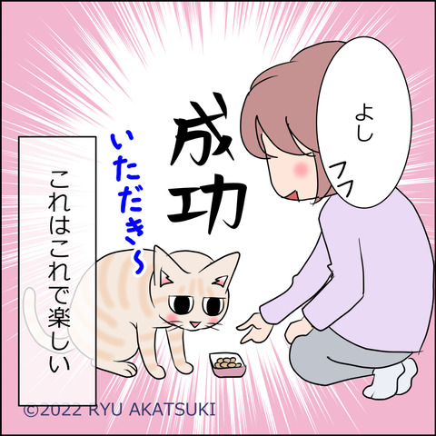 あんこ&麦STORY1716d
